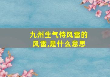 九州生气恃风雷的风雷,是什么意思