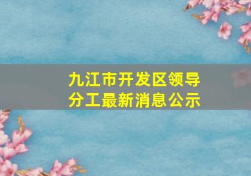 九江市开发区领导分工最新消息公示