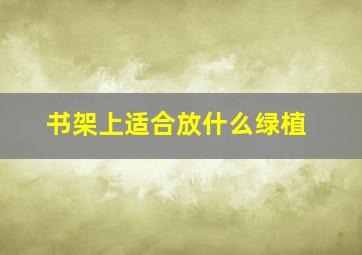 书架上适合放什么绿植