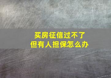 买房征信过不了但有人担保怎么办