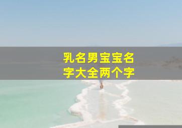 乳名男宝宝名字大全两个字