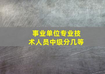 事业单位专业技术人员中级分几等