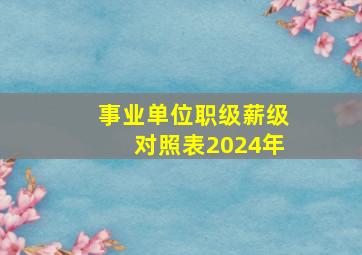 事业单位职级薪级对照表2024年