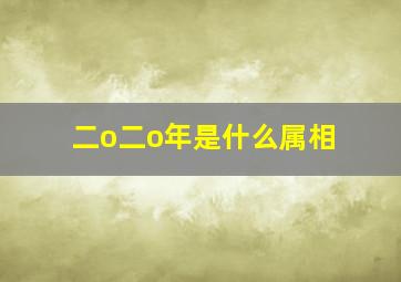 二o二o年是什么属相