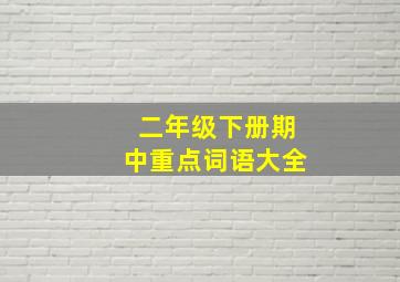 二年级下册期中重点词语大全