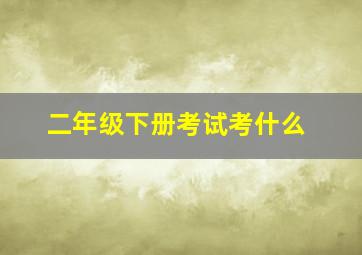 二年级下册考试考什么