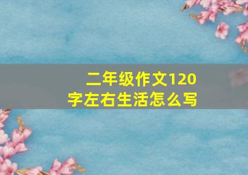 二年级作文120字左右生活怎么写