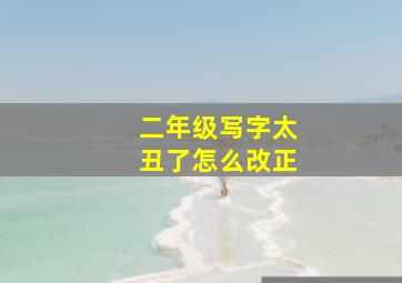 二年级写字太丑了怎么改正