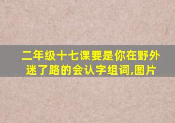 二年级十七课要是你在野外迷了路的会认字组词,图片