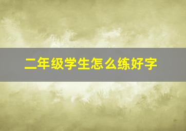 二年级学生怎么练好字