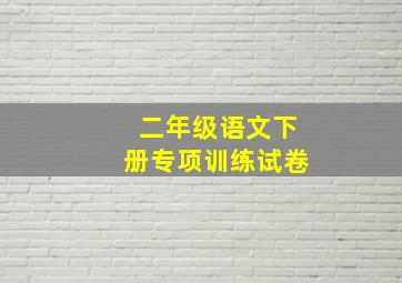 二年级语文下册专项训练试卷