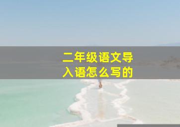 二年级语文导入语怎么写的