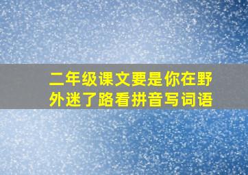 二年级课文要是你在野外迷了路看拼音写词语