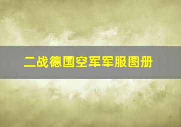 二战德国空军军服图册