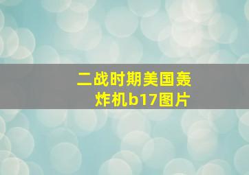 二战时期美国轰炸机b17图片