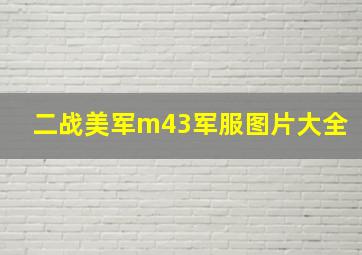 二战美军m43军服图片大全