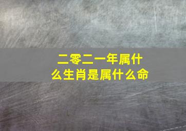 二零二一年属什么生肖是属什么命