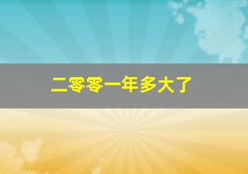 二零零一年多大了