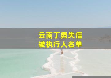 云南丁勇失信被执行人名单