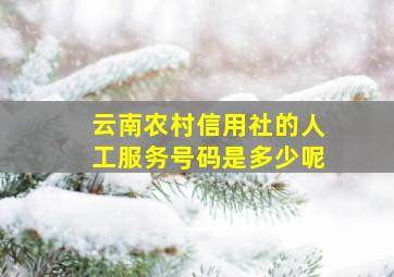 云南农村信用社的人工服务号码是多少呢