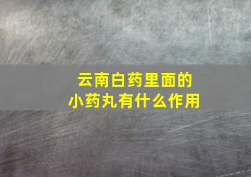 云南白药里面的小药丸有什么作用