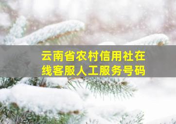 云南省农村信用社在线客服人工服务号码