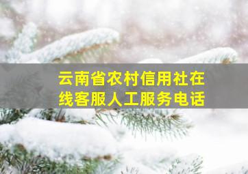 云南省农村信用社在线客服人工服务电话