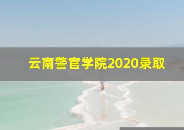 云南警官学院2020录取