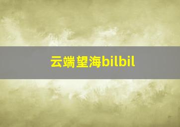 云端望海bilbil