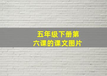 五年级下册第六课的课文图片