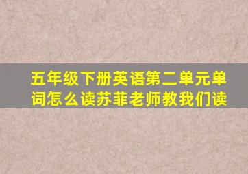 五年级下册英语第二单元单词怎么读苏菲老师教我们读