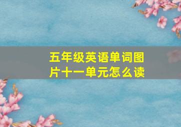 五年级英语单词图片十一单元怎么读