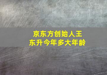 京东方创始人王东升今年多大年龄