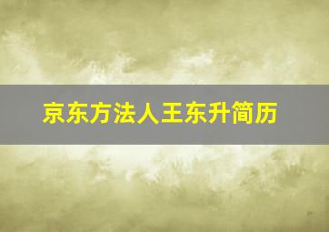 京东方法人王东升简历