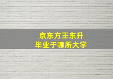 京东方王东升毕业于哪所大学