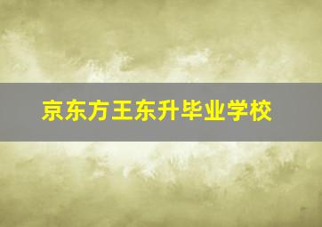 京东方王东升毕业学校