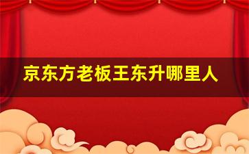 京东方老板王东升哪里人