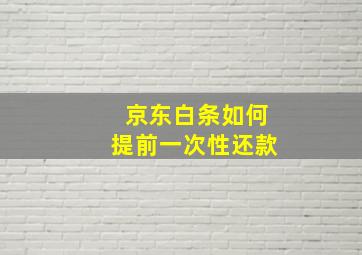 京东白条如何提前一次性还款