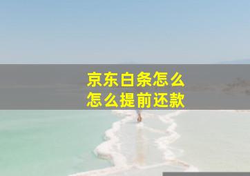 京东白条怎么怎么提前还款