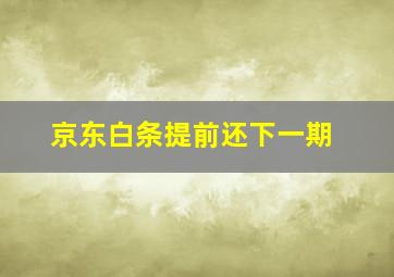 京东白条提前还下一期