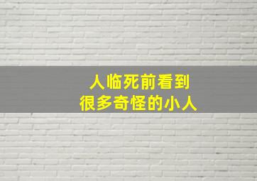 人临死前看到很多奇怪的小人