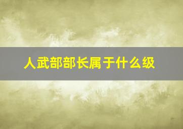 人武部部长属于什么级