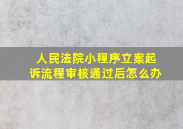 人民法院小程序立案起诉流程审核通过后怎么办