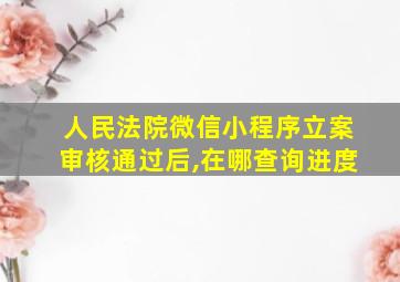 人民法院微信小程序立案审核通过后,在哪查询进度