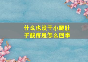 什么也没干小腿肚子酸疼是怎么回事