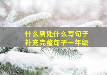 什么到处什么写句子补充完整句子一年级