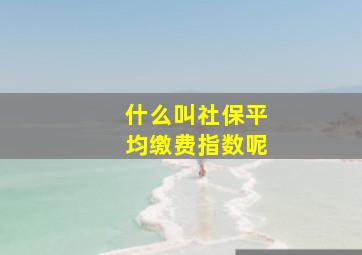 什么叫社保平均缴费指数呢