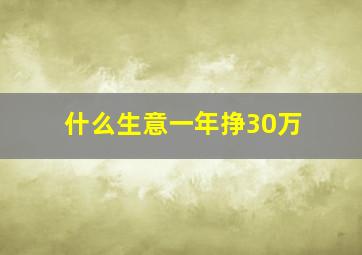 什么生意一年挣30万