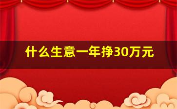 什么生意一年挣30万元