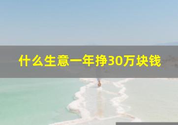 什么生意一年挣30万块钱